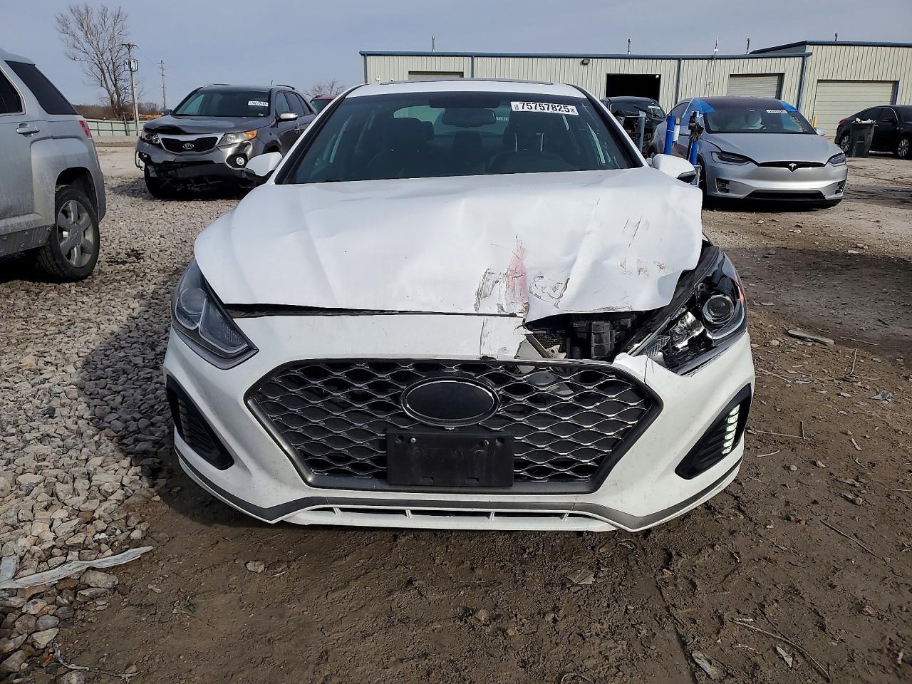 2019 Hyundai Sonata Limited - Фото 5