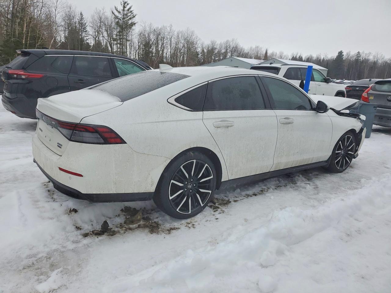 2025 Honda Accord Touring Hybrid - Image 3