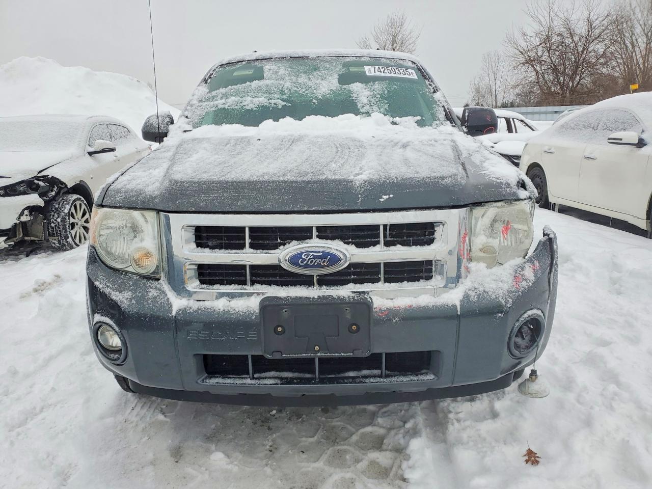2008 Ford Escape Xlt - Image 5
