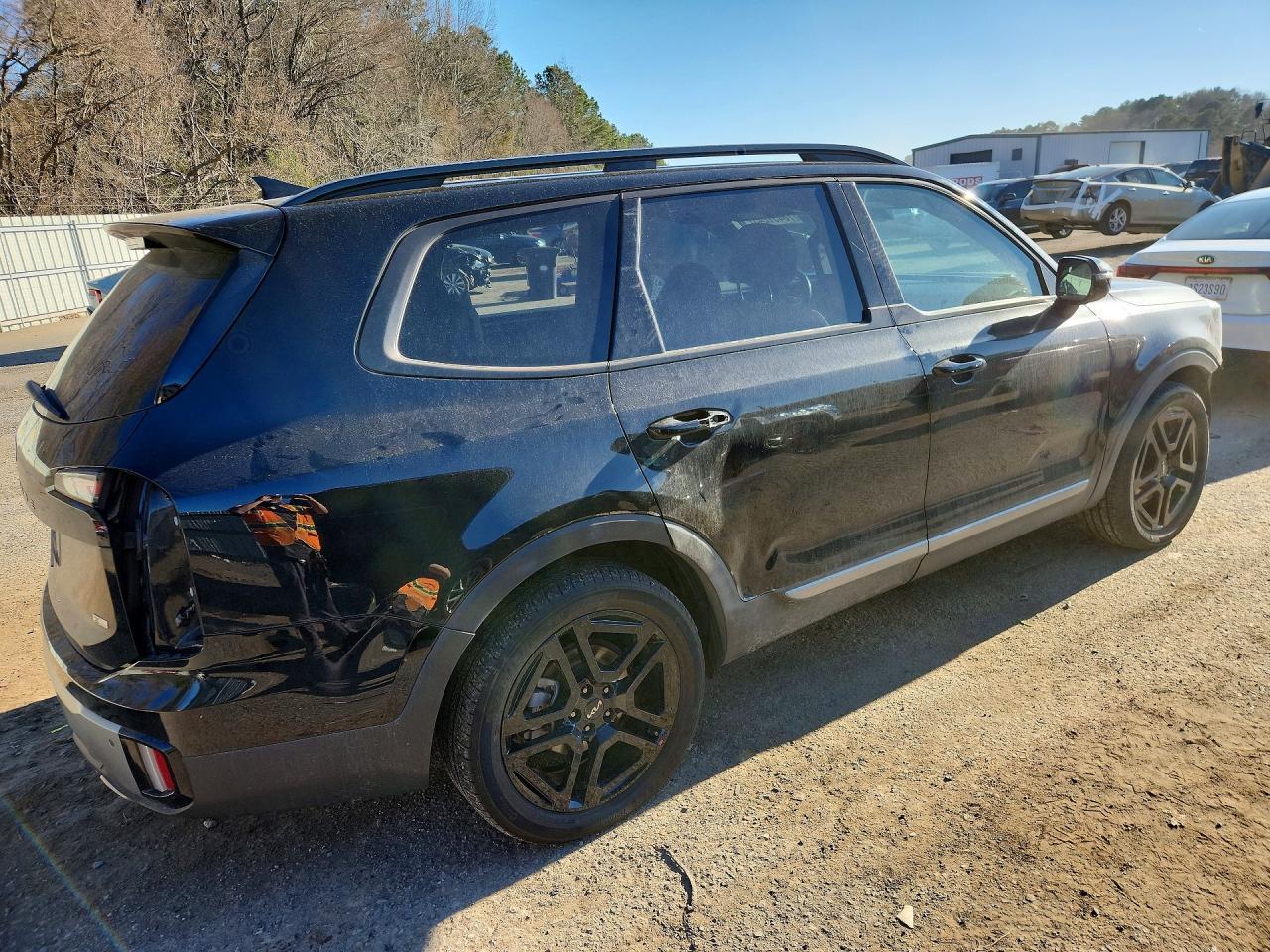 2023 Kia Telluride Sx - Фото 3