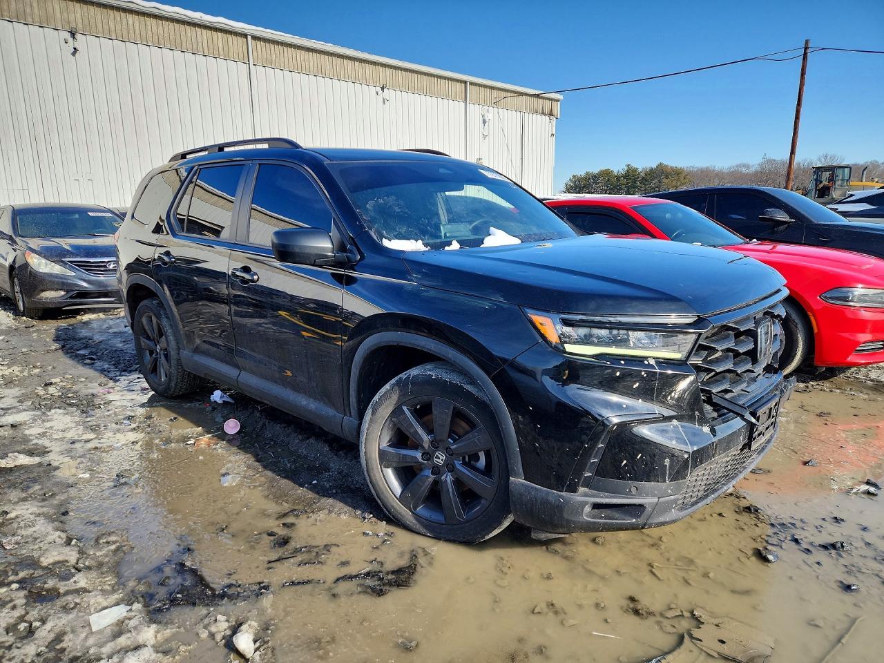 2023 Honda Pilot Sport - Image 4