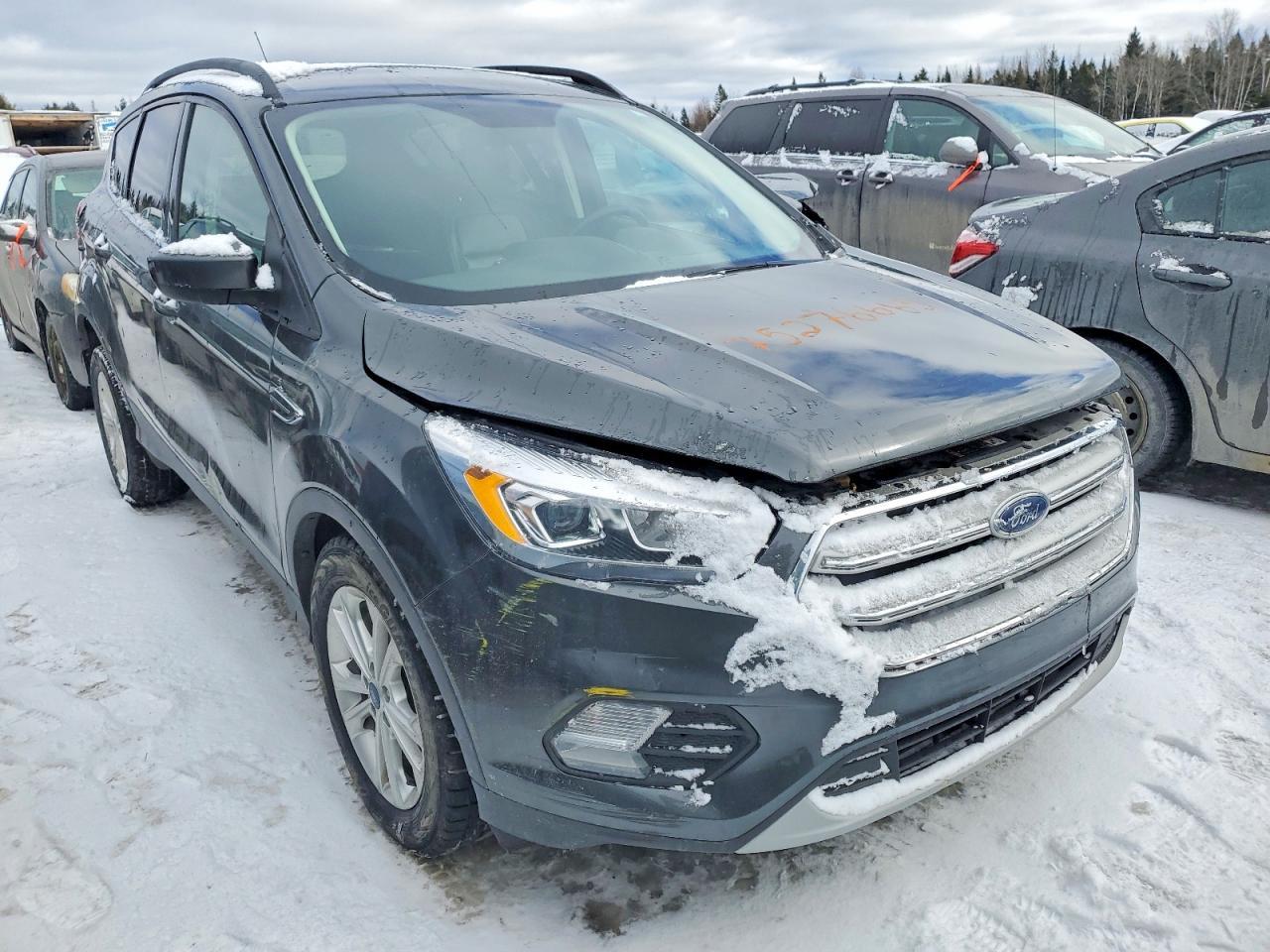 2019 Ford Escape Sel - Image 4