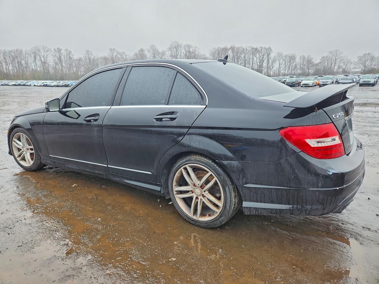 2013 Mercedes-Benz C 250 - Фото 2
