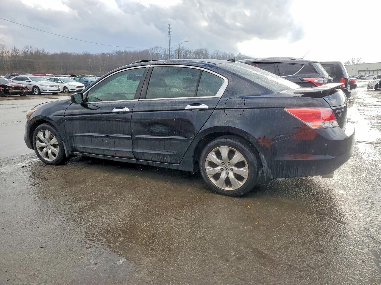2008 Honda Accord Exl - Фото 2