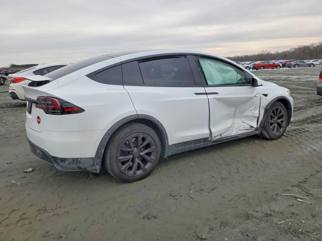 2023 Tesla Model X - Фото 3