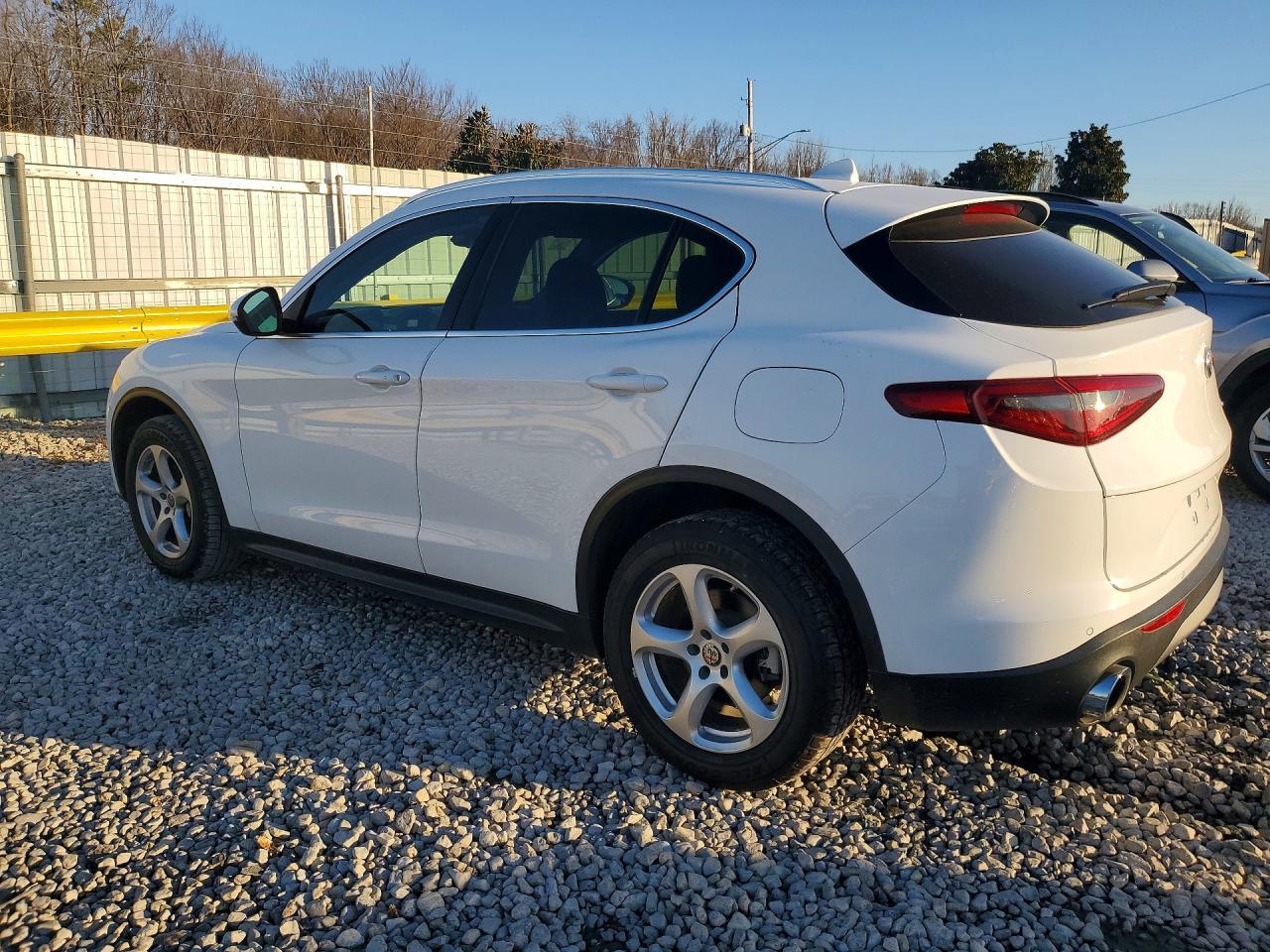 2019 Alfa Romeo Stelvio - Фото 2