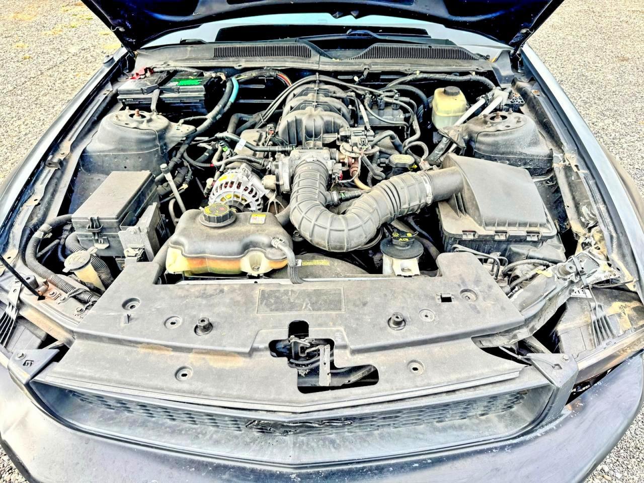 2006 Ford Mustang - Image 7