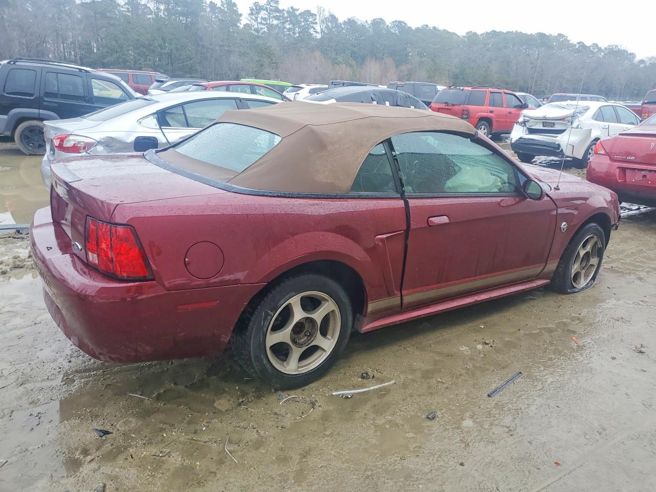 2004 Ford Mustang - Image 3