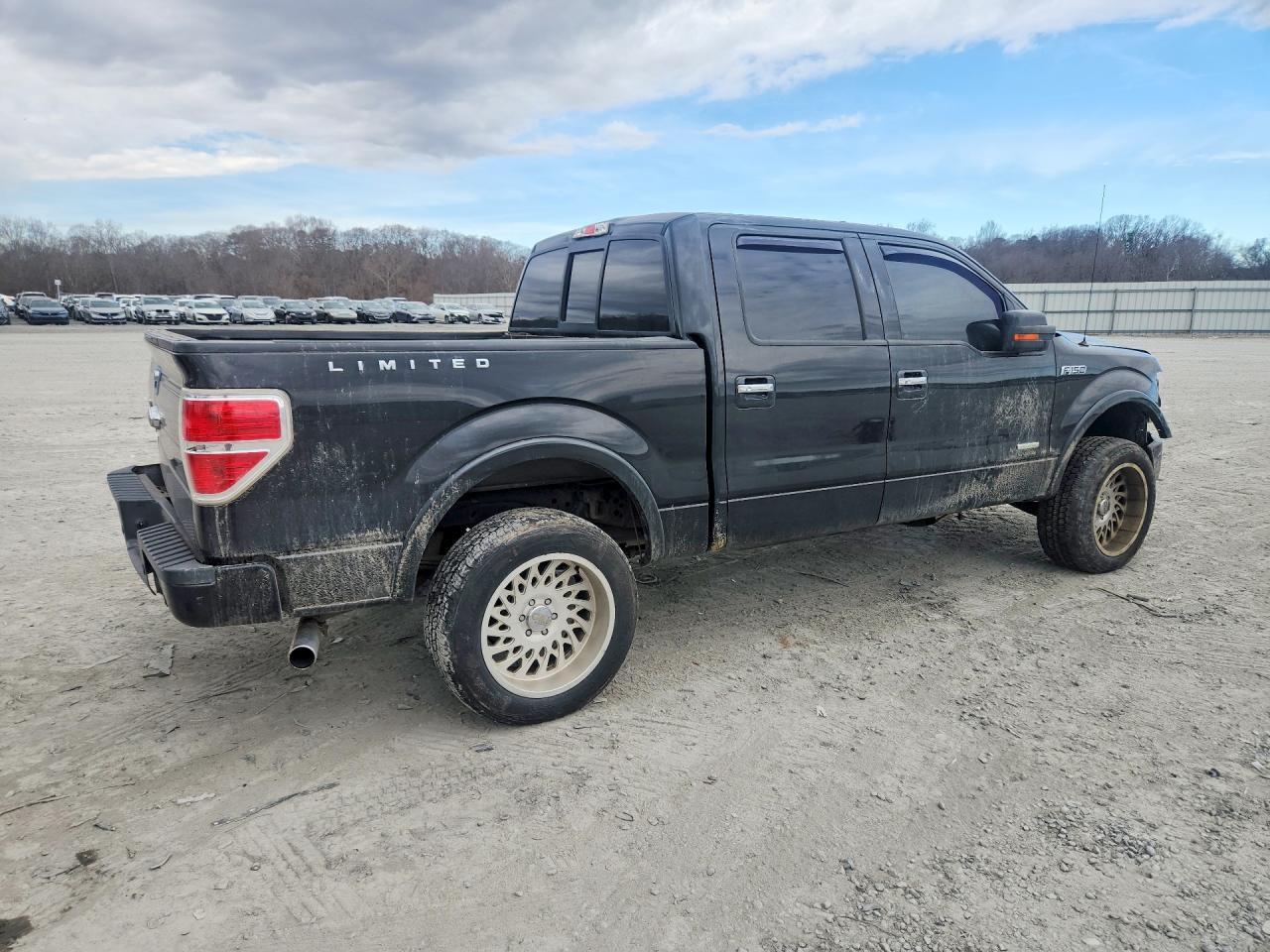 2014 Ford F150 Supercrew - Фото 3