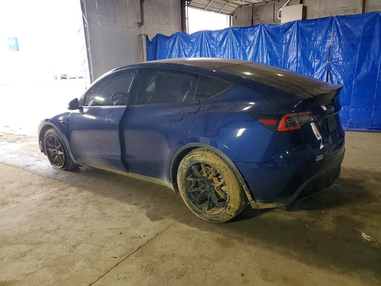 2021 Tesla Model Y - Фото 2