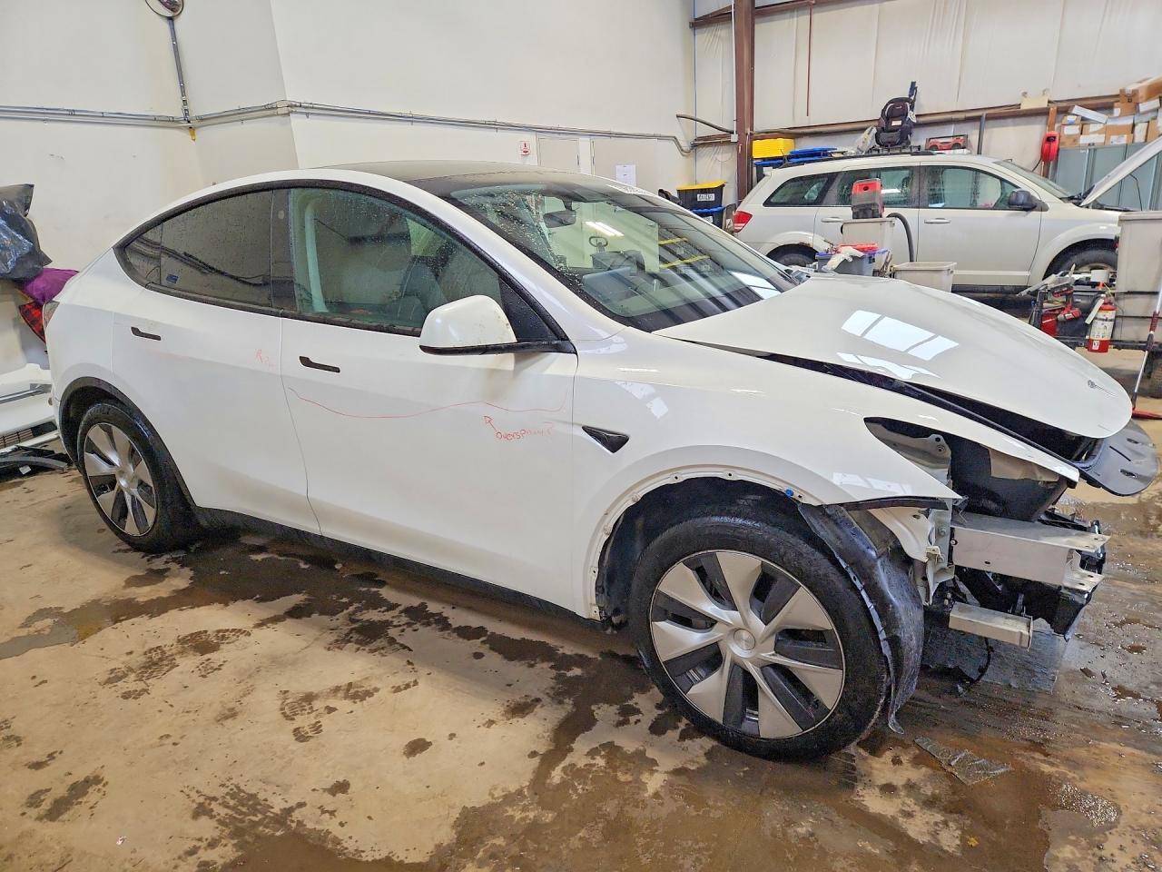 2023 Tesla Model Y - Фото 4