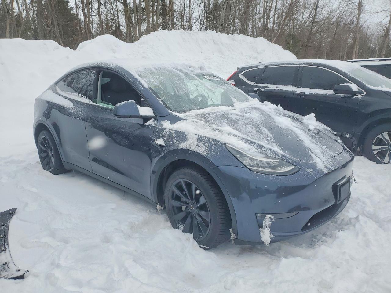 2022 Tesla Model Y - Фото 4