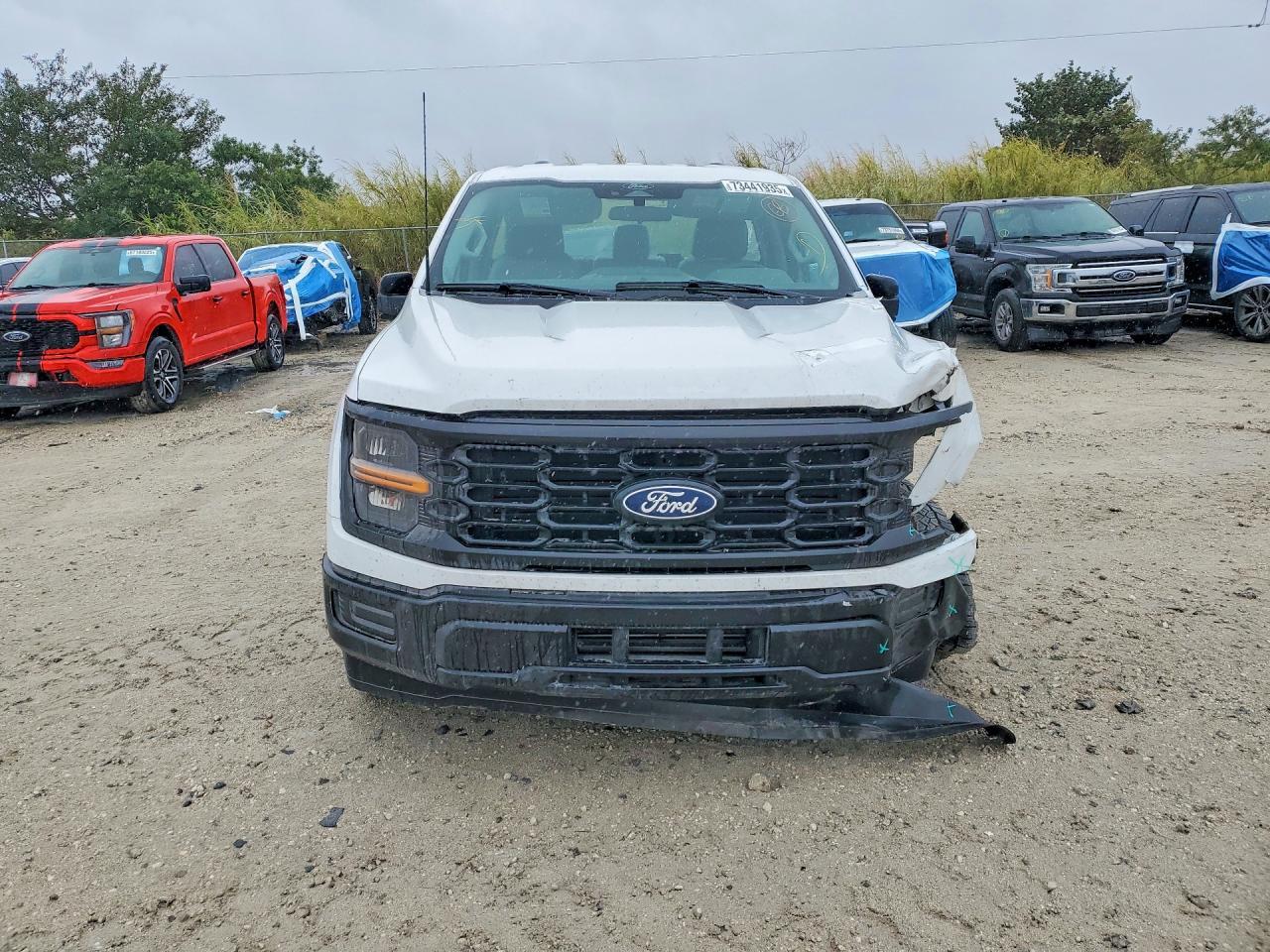 2024 Ford F150 Xl - Image 5