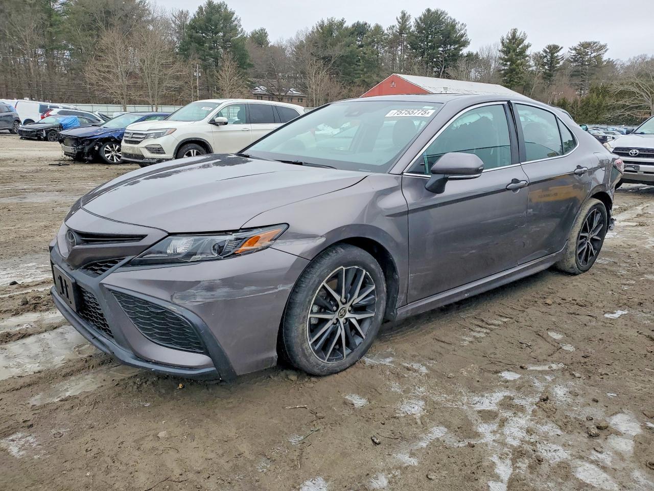 2024 Toyota Camry Se Night Shade