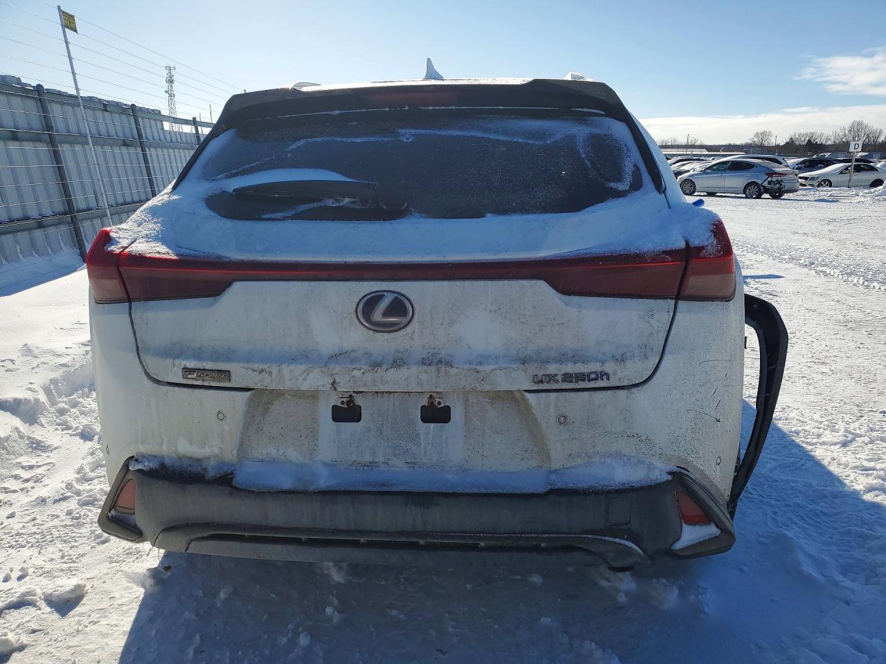 2020 Lexus Ux 250H - Фото 6