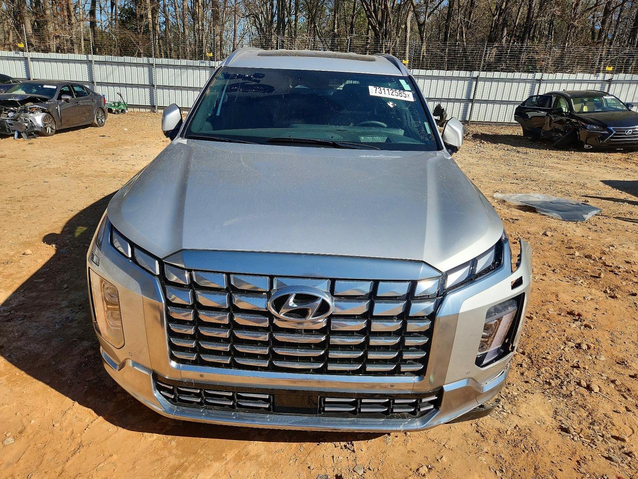 2024 Hyundai Palisade Calligraphy - Фото 5