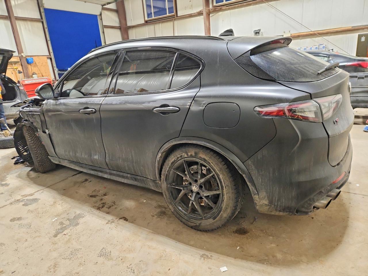 2024 Alfa Romeo Stelvio Quadrifoglio - Фото 2