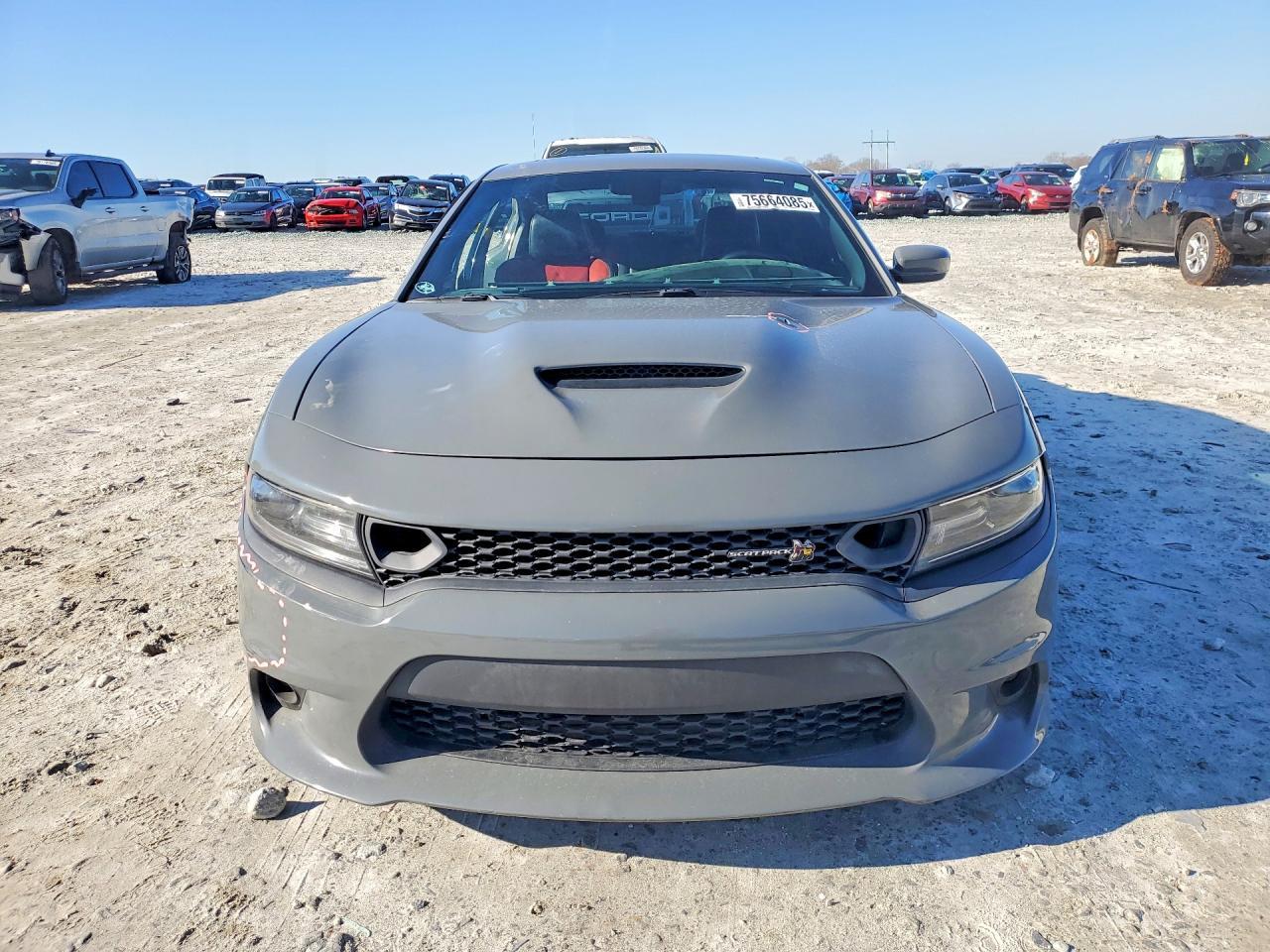 2019 Dodge Charger Scat Pack - Фото 5