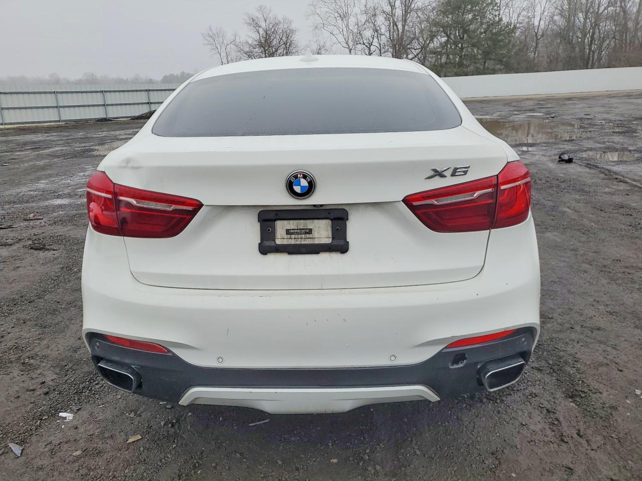 2016 BMW X6 xDrive35I - Фото 6