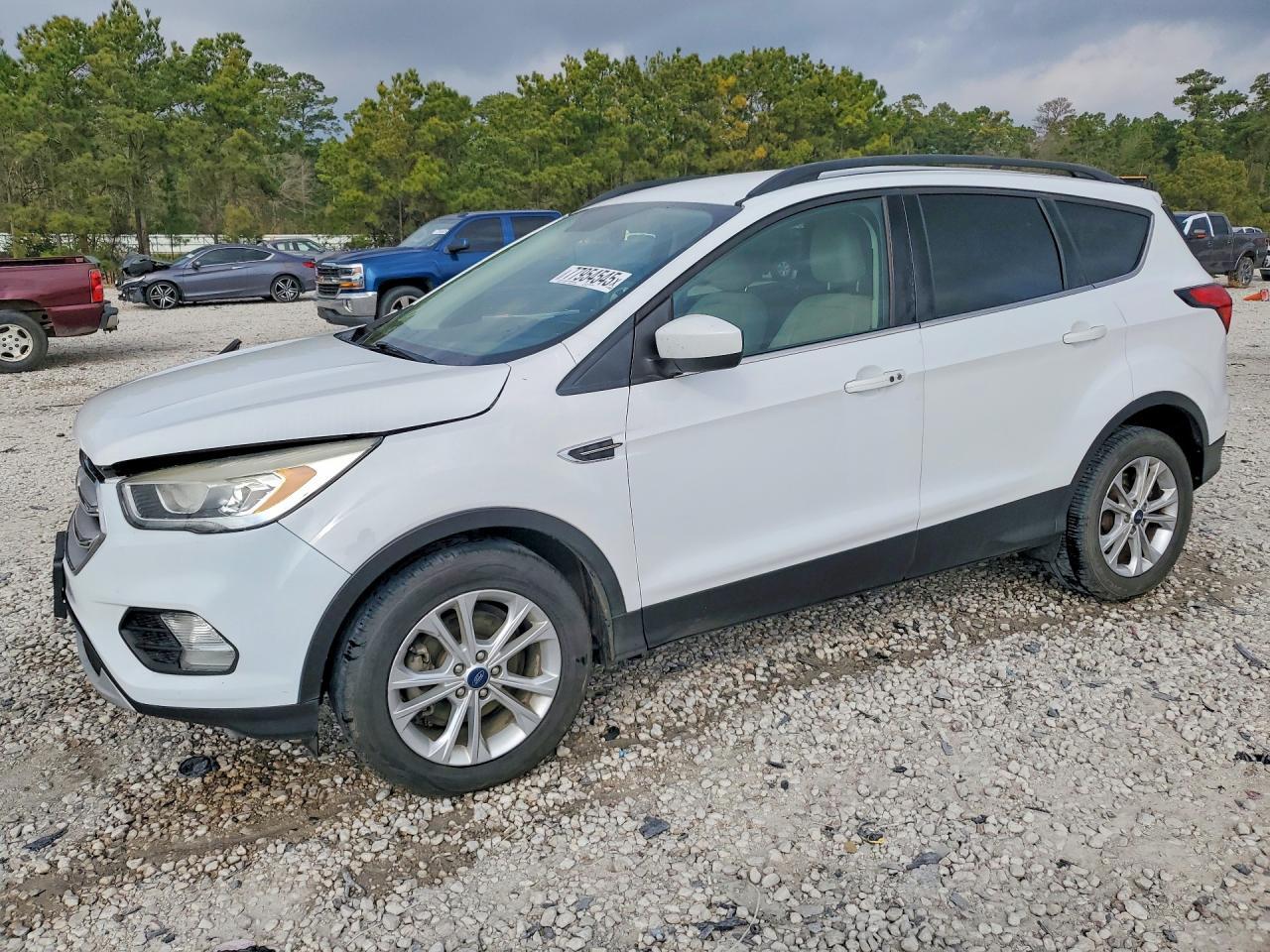 2019 Ford Escape Sel