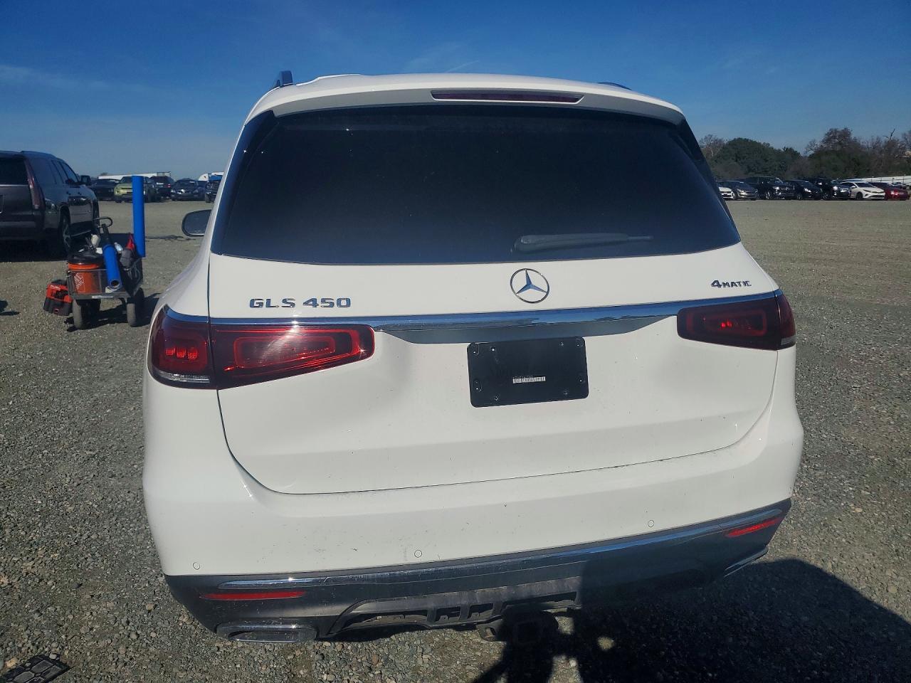 2020 Mercedes-Benz Gls 450 4Matic - Фото 6