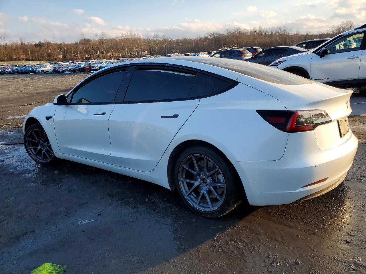 2023 Tesla Model 3 - Фото 2