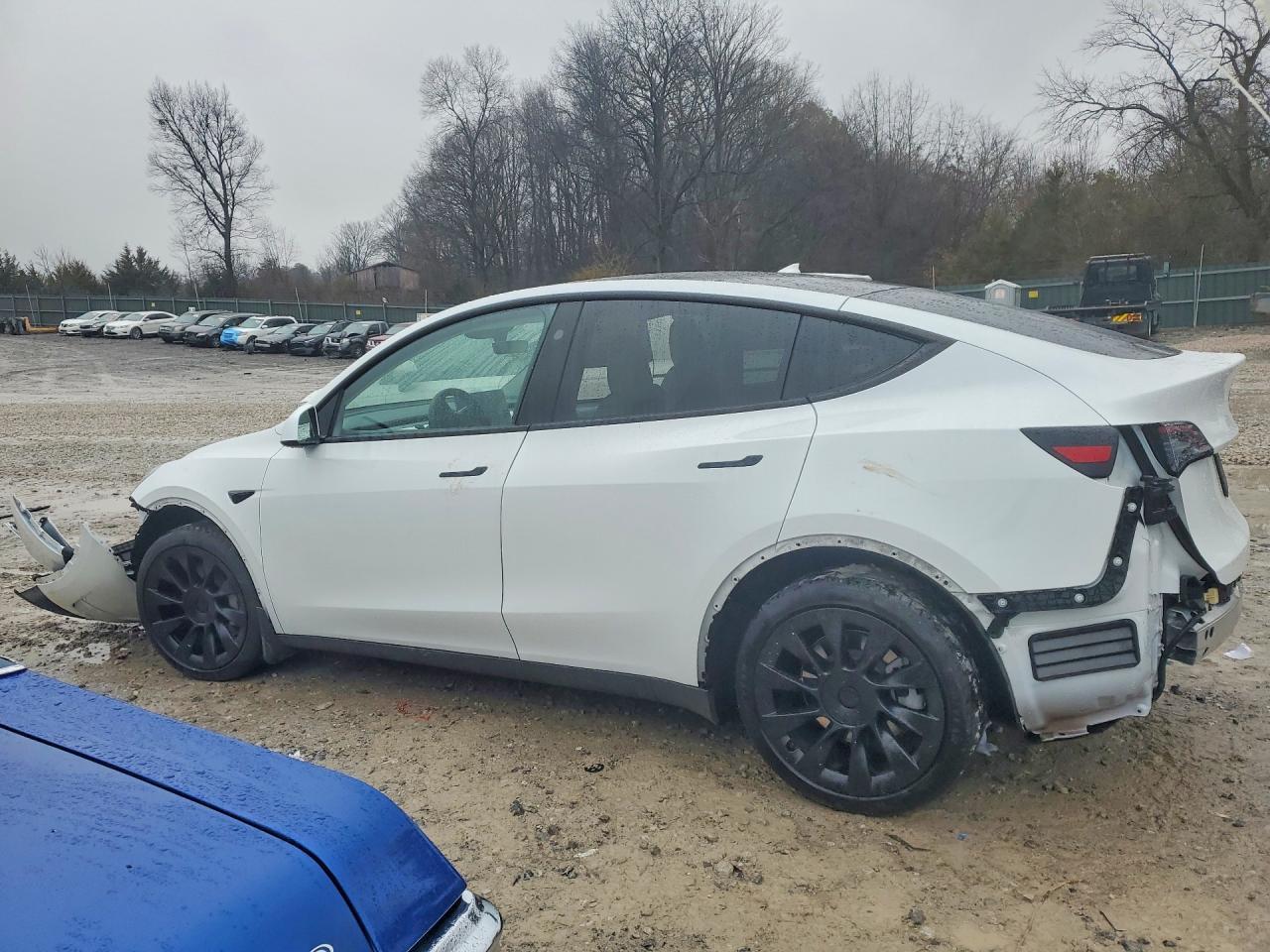 2023 Tesla Model Y - Image 2