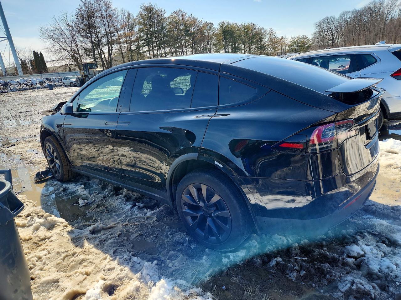 2024 Tesla Model X - Фото 2