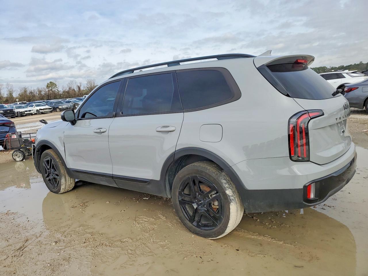 2024 Kia Telluride Ex - Image 2