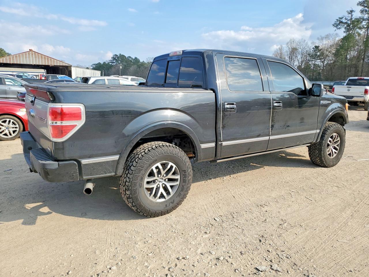 2010 Ford F150 Supercrew - Фото 3
