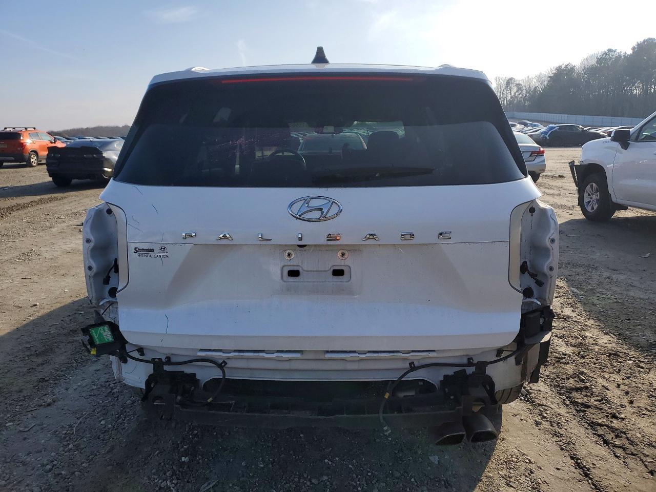 2021 Hyundai Palisade Calligraphy - Фото 6