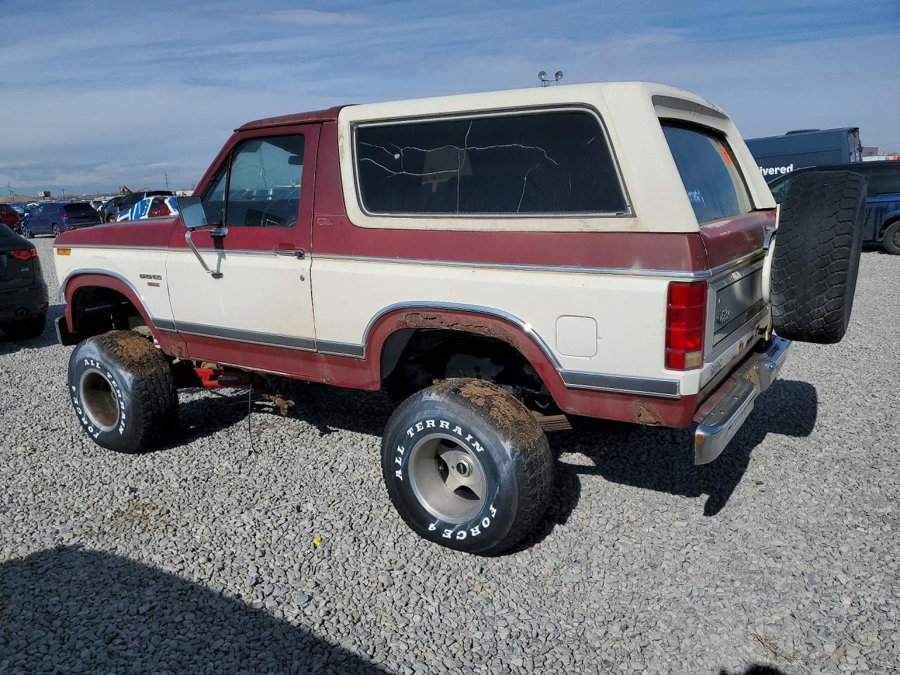 1982 Ford Bronco U100 - Фото 2