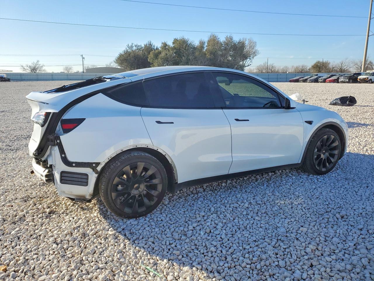 2023 Tesla Model Y - Фото 3