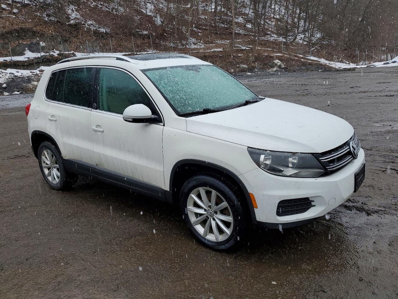 2017 Volkswagen Tiguan Wolfsburg Edi - Image 4