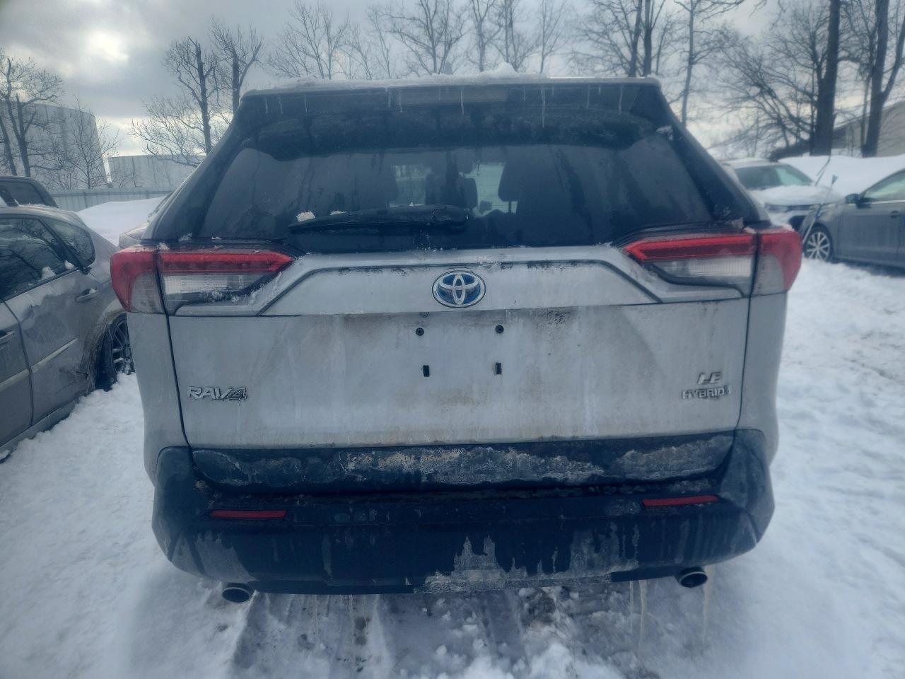 2019 Toyota Rav4 Le - Фото 6