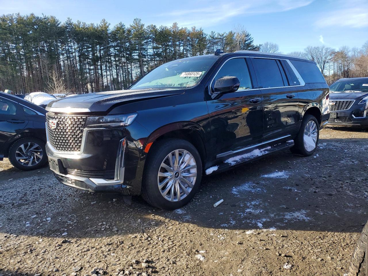 2024 Cadillac Escalade Esv Luxury