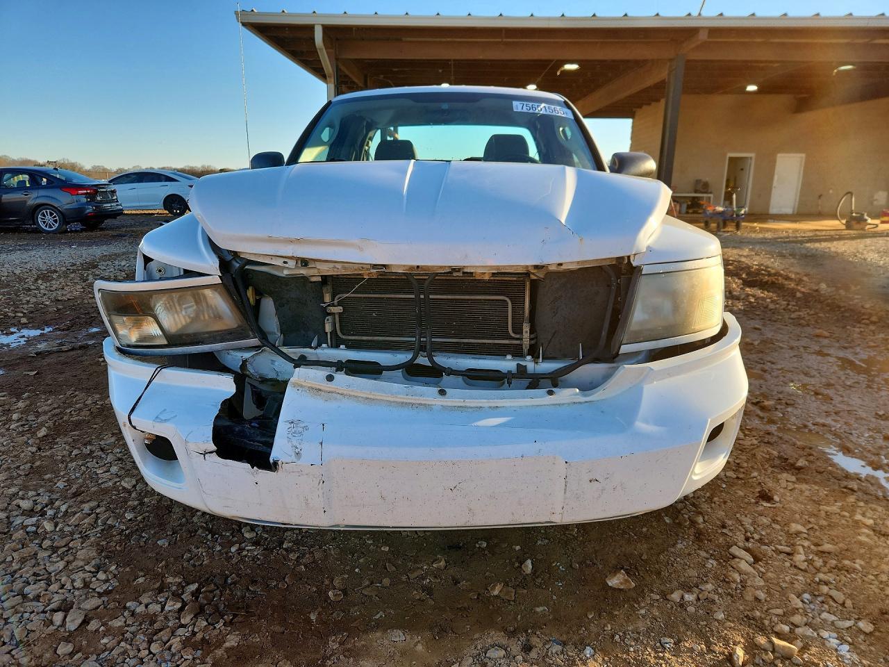 2011 Dodge Dakota Slt - Фото 5