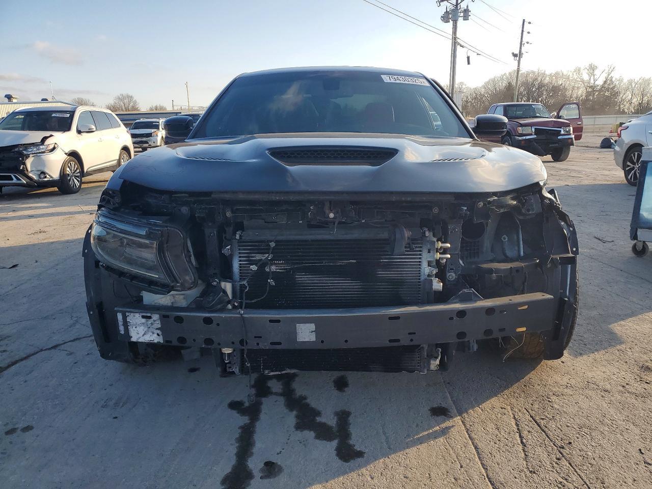 2018 Dodge Charger Srt Hellcat - Фото 5