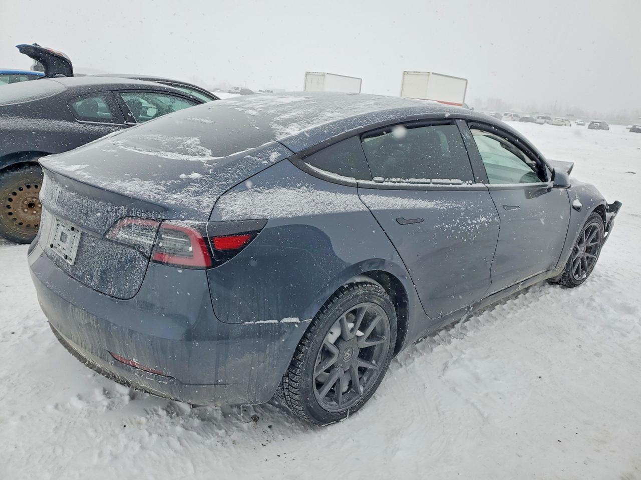 2023 Tesla Model 3 - Фото 3