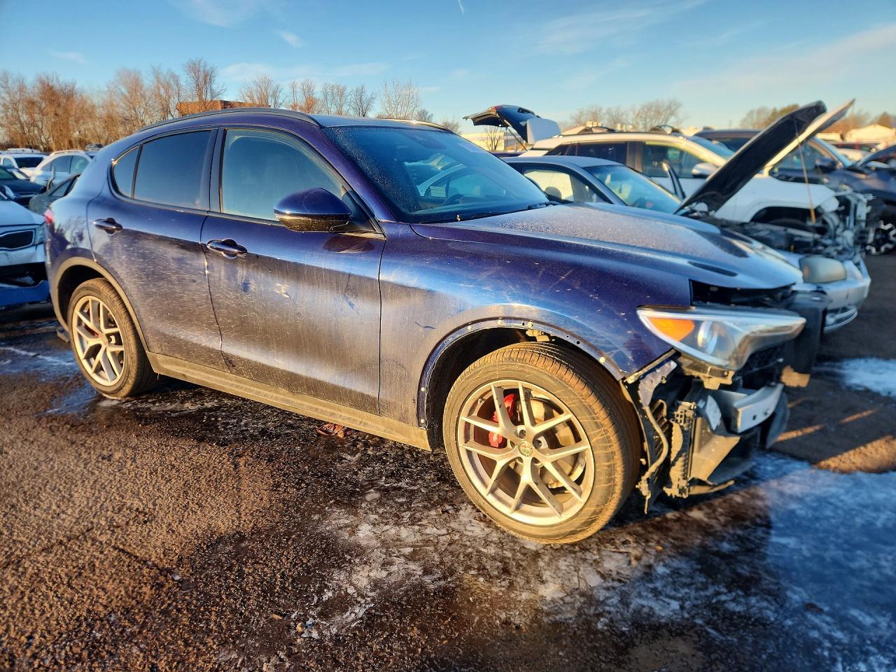 2019 Alfa Romeo Stelvio Ti - Фото 4