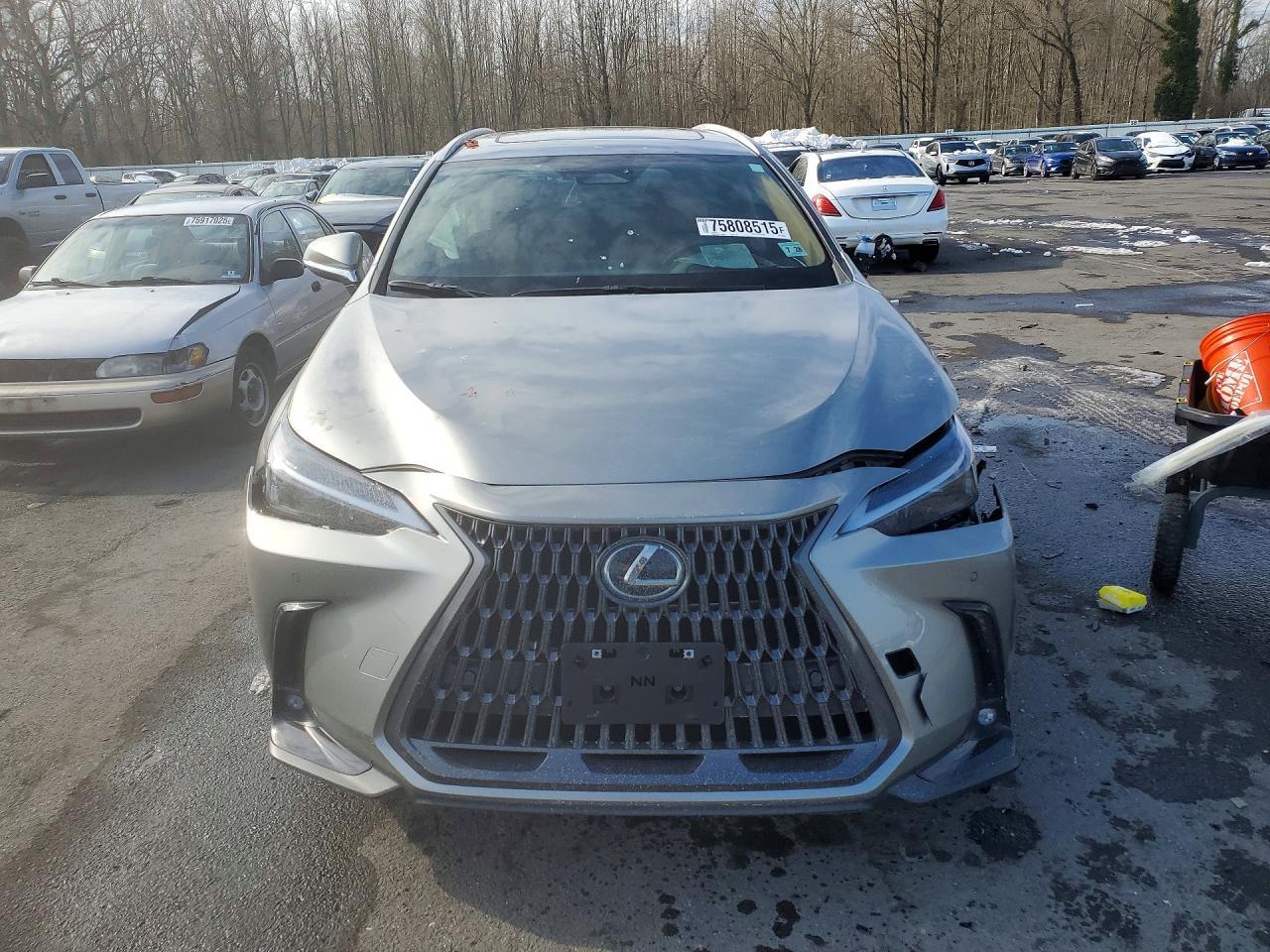 2024 Lexus Nx 350 Premium - Image 5