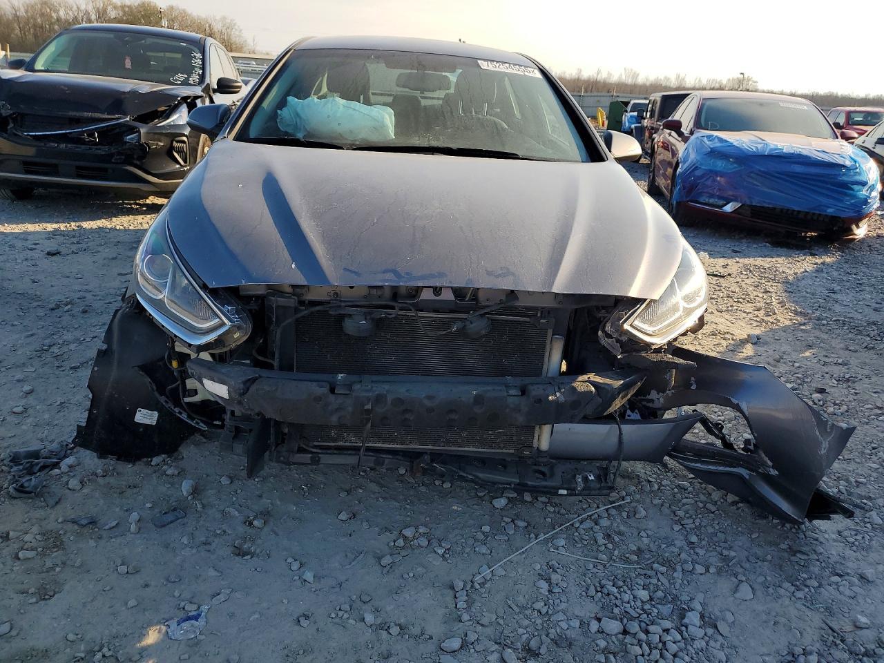 2019 Hyundai Sonata Limited - Фото 5