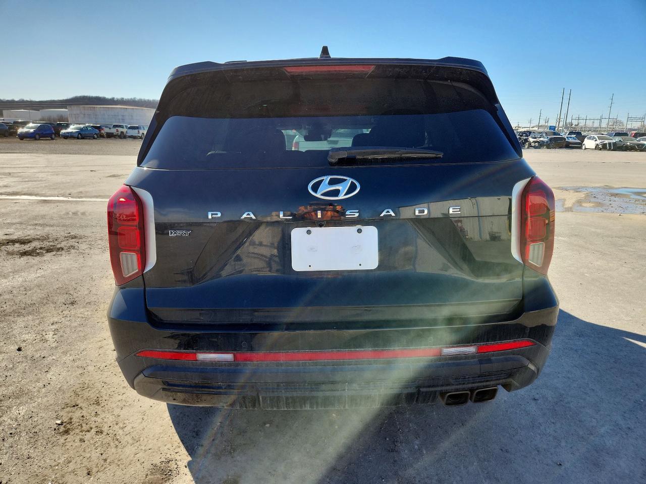 2024 Hyundai Palisade Xrt - Фото 6