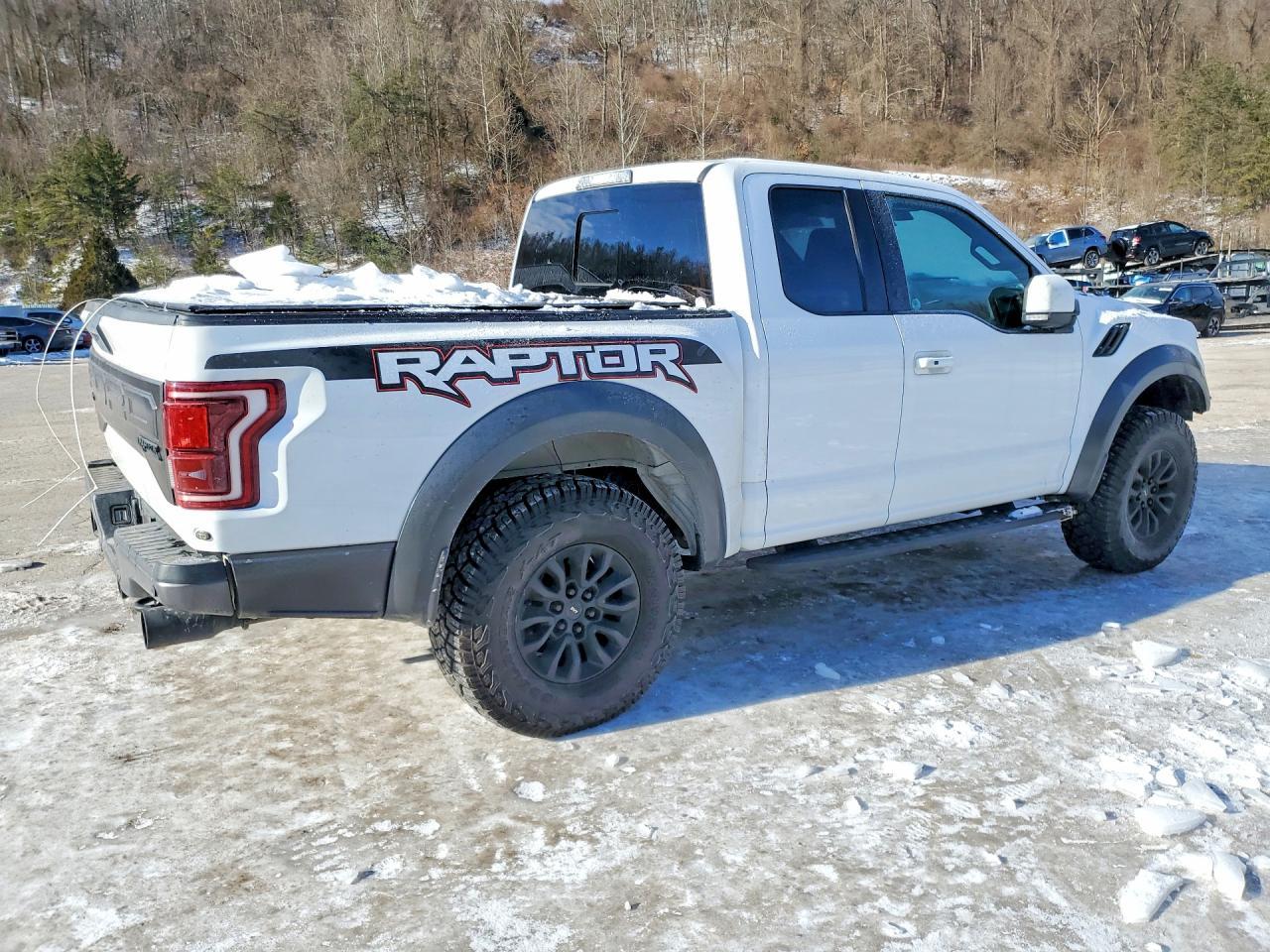 2017 Ford F150 Raptor - Image 3