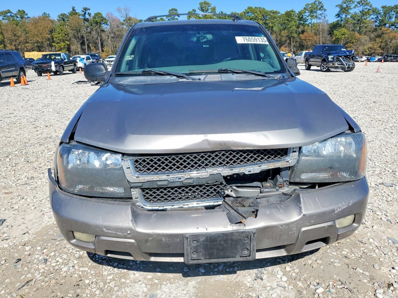 2006 Chevrolet Trailblazer Ls - Фото 5
