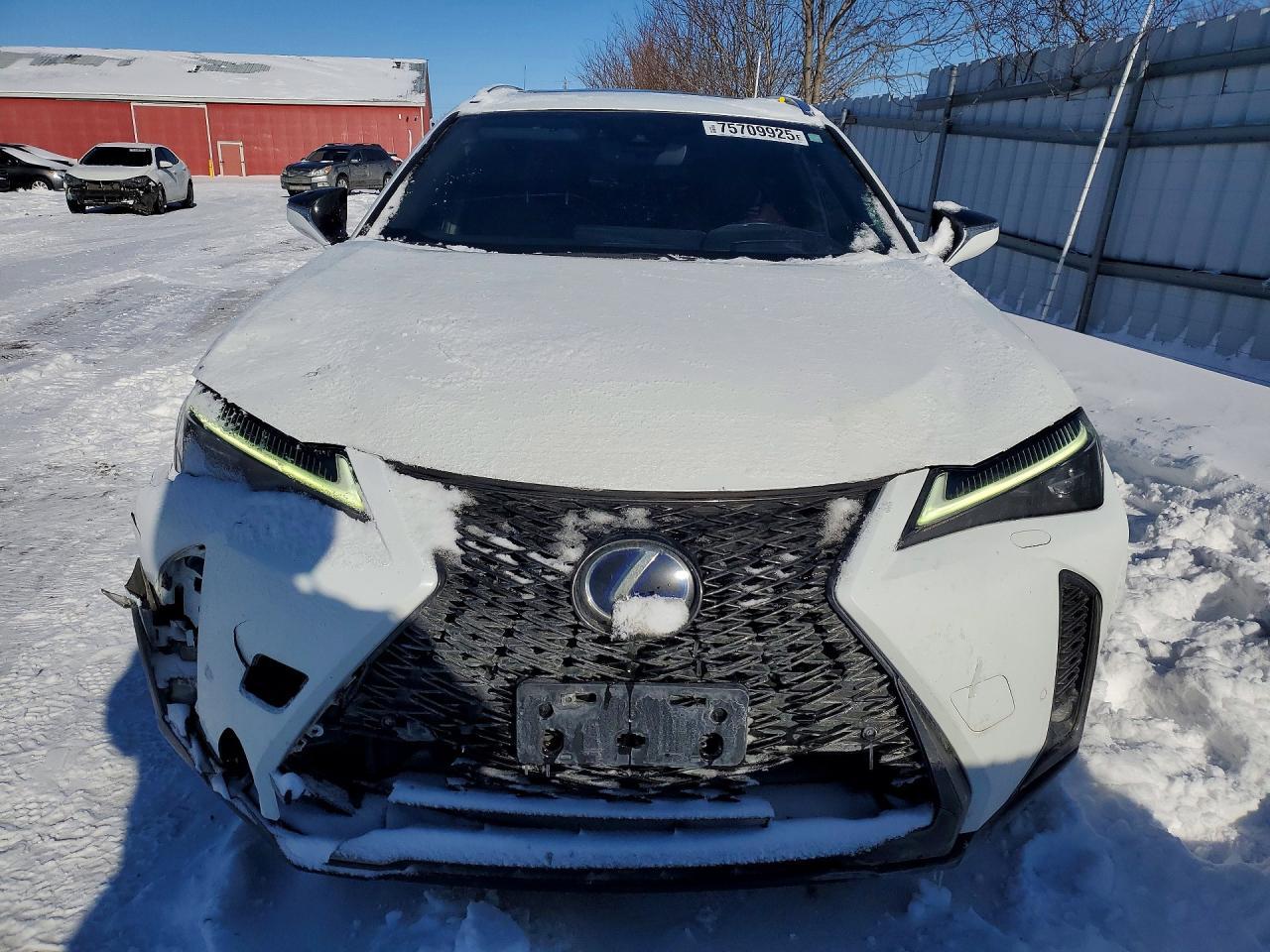 2020 Lexus Ux 250H - Фото 5