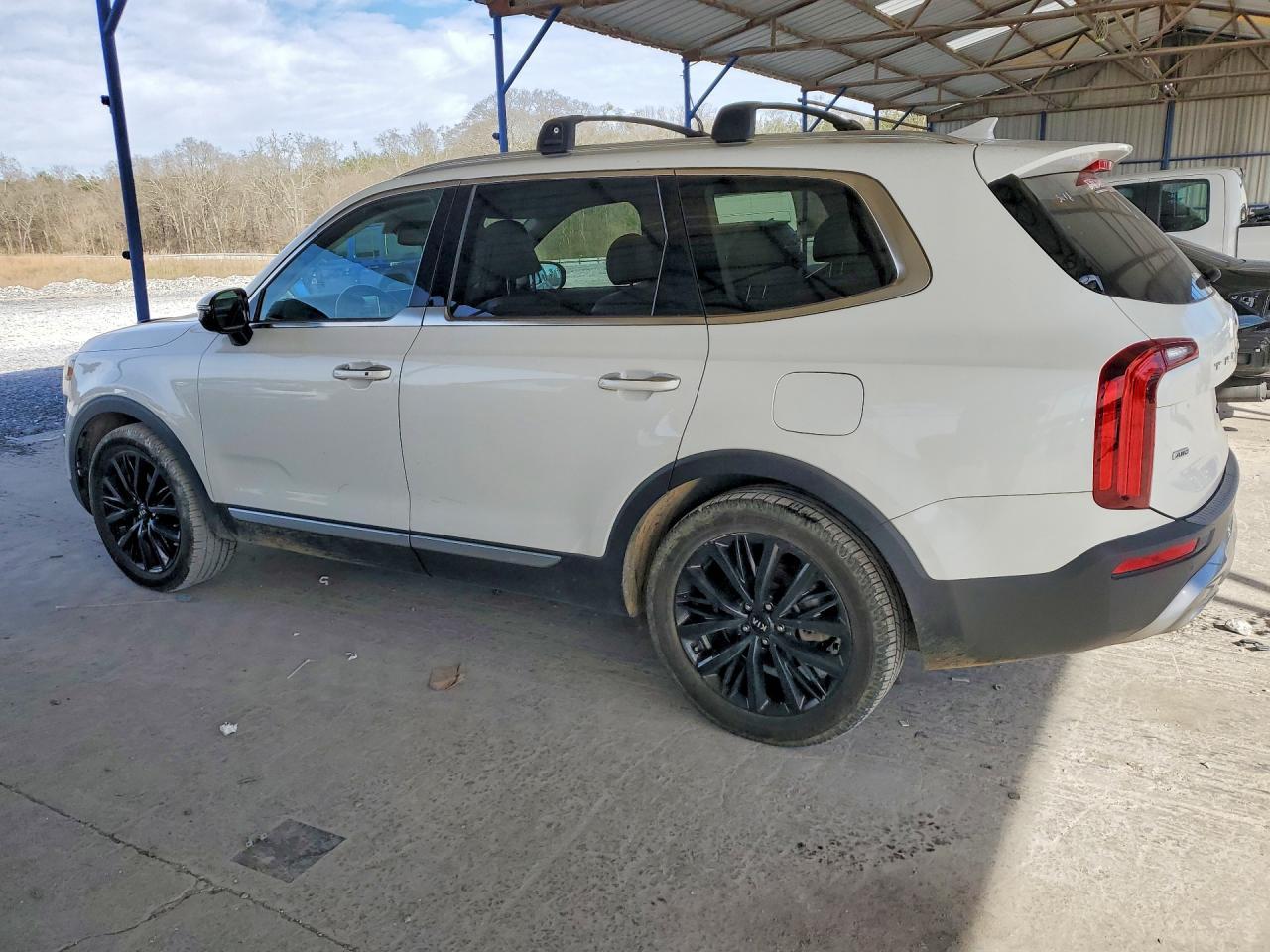 2020 Kia Telluride Sx - Фото 2