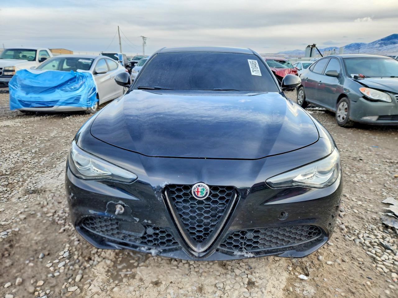 2019 Alfa Romeo Giulia - Фото 5