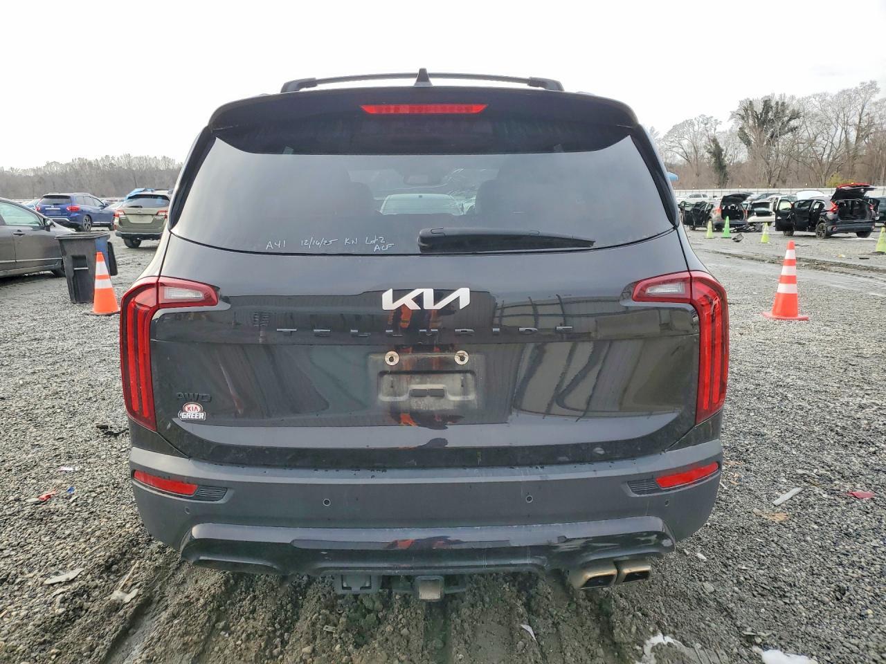 2022 Kia Telluride Sx - Фото 6