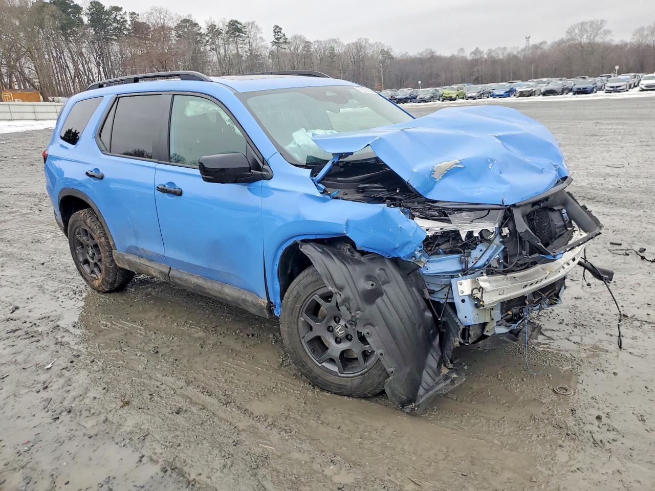 2025 Honda Pilot Trailsport - Фото 4